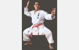Stage de karate do shito ryu (avec Maître Yasunari Ishimi)